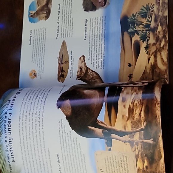 So Many Ways to Live in Difficult Conditions Book - Picture 3 of 3